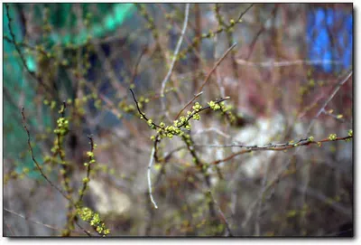 [각평] 안정적인 조황입니다...^^