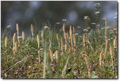 [각평] 꾸준한 조황...좋습니다...^^
