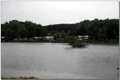 [각평] 비속에서도 꾸준한 호조황이...