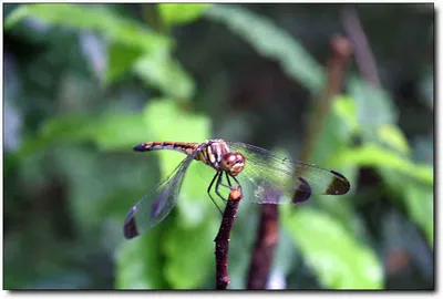 [각평] 여름의 잔영을 던지고...