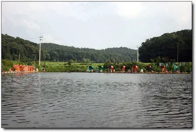 [각평] 가을비속에서도 입질은 계속 됩니다...