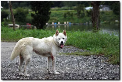 [각평] 화끈한 입질이 좋아~