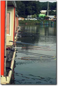 [각평] 하늘은 높고..붕어는 살찌고...^^