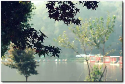 [각평] 입질 good! 조황 good!