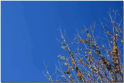 [각평] 이 맛에 삽니다...^^