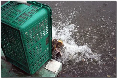 [각평] 겨울의 문턱에서...