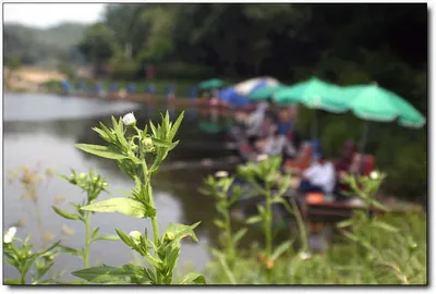 [각평] 시원한 입질...당찬 손맛...^^