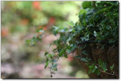 [각평] 황홀한 찌올림...^^