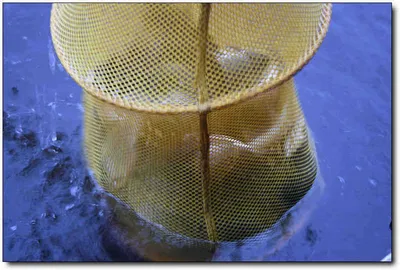 [각평] 무더위 극복하기...^^