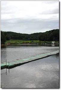 [각평] 비가 오나 해가 뜨나...