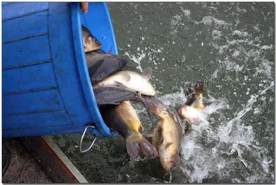 [각평] 안정을 찾은 입질...