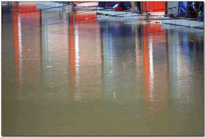 [각평] 겨울의 끝자락에서...