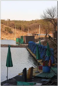 [각평] 봄의 문턱에서...