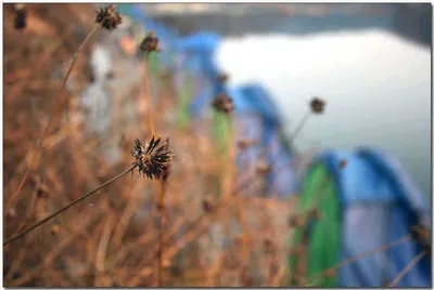 [각평] 뜨거운 것이 좋아...