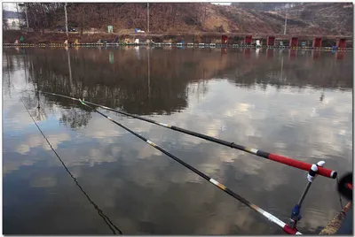 [각평] 속보!!! 대박이 시작되었습니다...^^