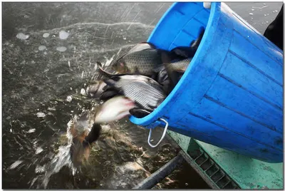 [각평] 마구 쏟아 부어 봅니다...^^