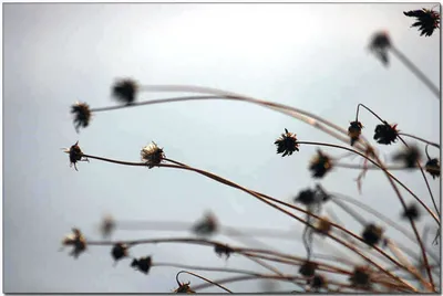 [각평] 이 죽일넘의 날씨~