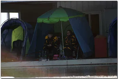 [각평] 특단의 조치...