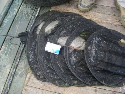 자갈섬낚시터 월척~!!