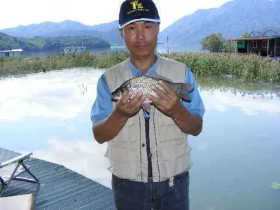 한가위 호조황~!!^^