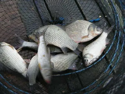 이어지는월척~!!