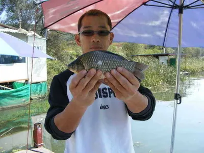 자갈섬낚시터조황