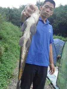 8월 두번째 소식