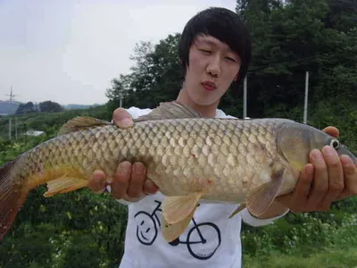 [6월 두번째주 조황은 굿~~~]