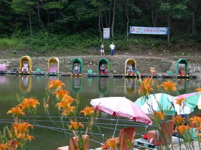 물밑 변화에 적응한 물고기들의 힘찬 파이팅!!!