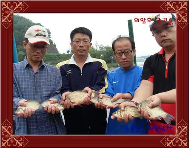 좌대비인하30,000원의암호소문난드림낚시입니다.