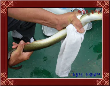 아직도휴가지로고민을하고계십니까?