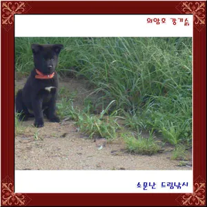 소문난 드림낚시 화났다 ?