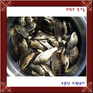 의암호강기슭소문난드림낚시입니다.