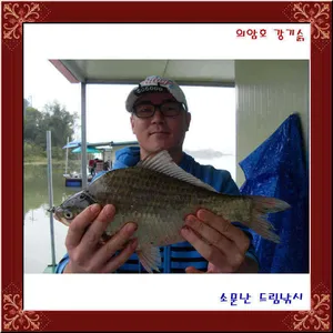 추석연휴를의암호강기슭소문난드림낚시에서즐기시지요.