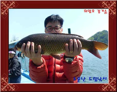 좌대비인하30,000.의암호소문난드림낚시입니다.