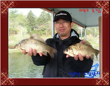 좌대비인하30,000원 의암호소문난드림낚시입니다.
