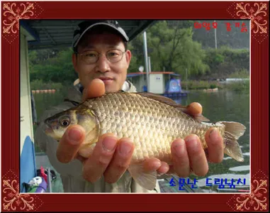 좌대비인하30,000원소문난드림낚시.