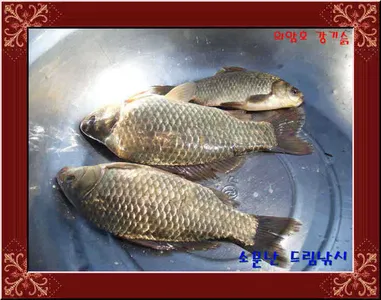 좌대비인하30,000원의암대소문난드림낚시.