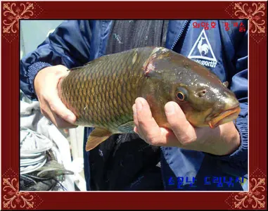 좌대비인하30,000원의암호소문난드림낚시입니다.