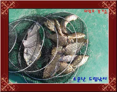 좌대비인하30,000원에서 토종 대박까지.