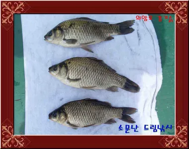 좌대비인하30,000원의암호소문난드림낚시입니다.