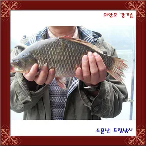 월척이참예쁘네요,의암호소문난드림낚시입니다.