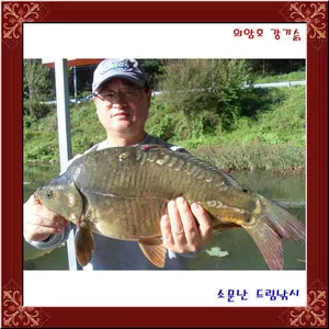 이어지는향어,월척,대단합니다.