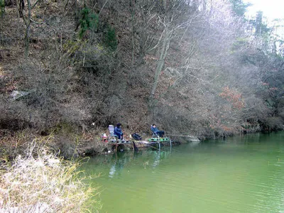 개심지 4월 첫째주 모습