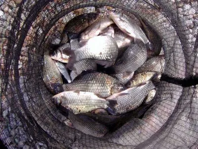 개심낚시터 4월네째주 이야기..