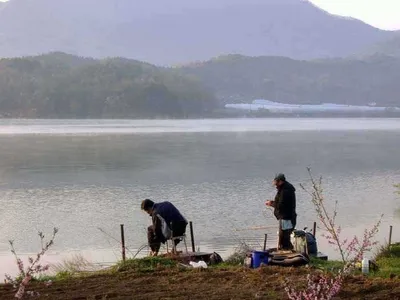 개심지 5월 첫째주 모습