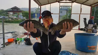 아산 명품 월랑낚시터 8월 첫번째 조황이야기입니다...^^