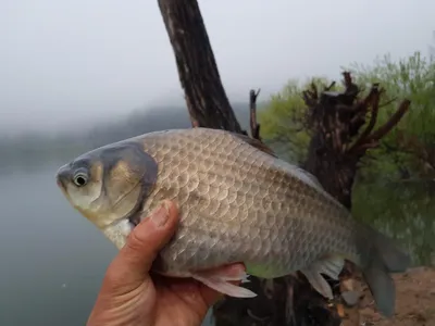 아름다운계곡속에자리잡은장계지에서