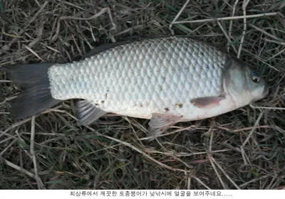 아직은 조금 빠른가봅니다....