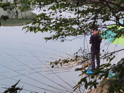 장계낚시터주말조항